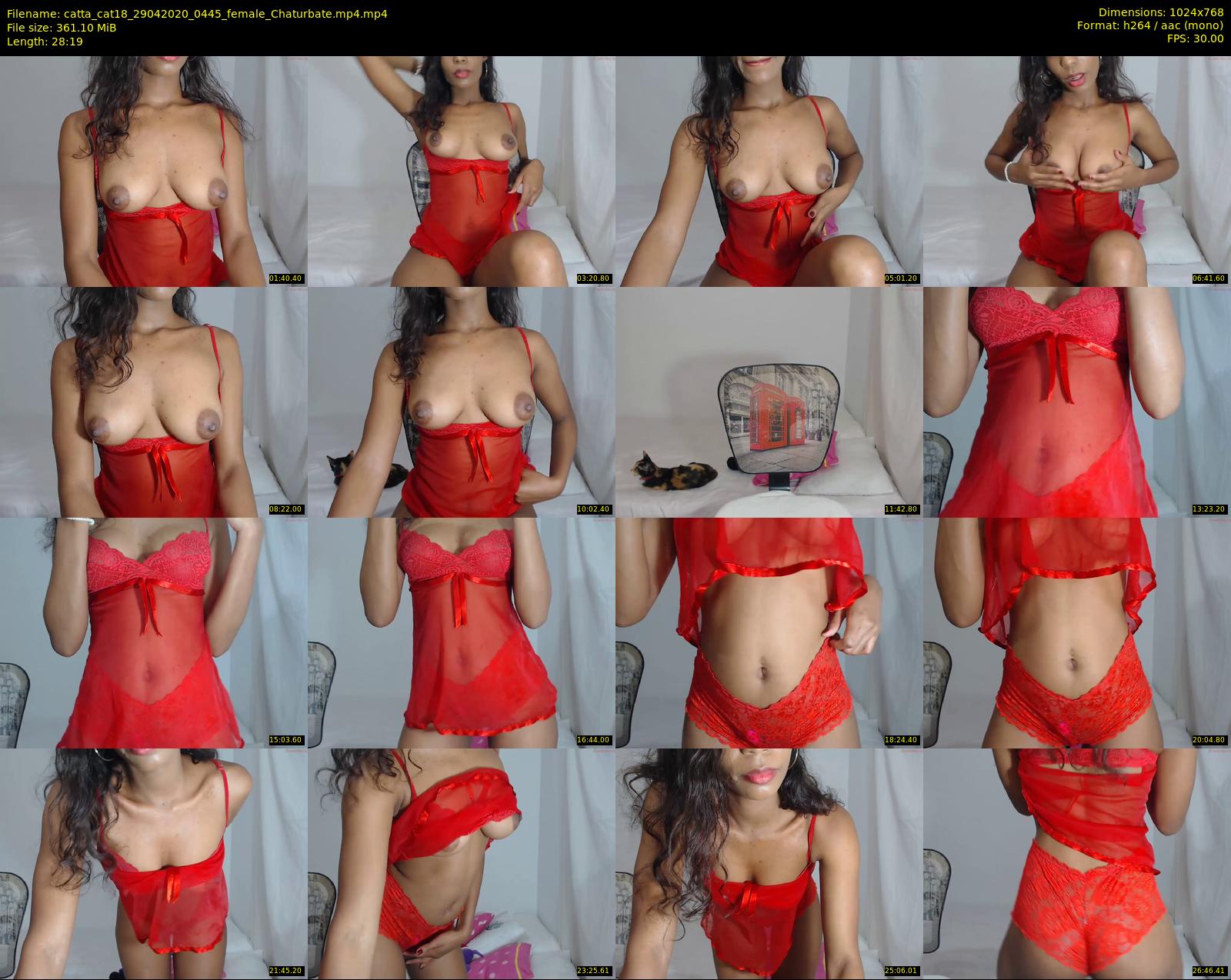 catta_cat18 — 29 minute Chaturbate female cam show recording, 720p, Apr 29, 2020