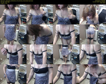 adelewildx — 14 minute Chaturbate female cam show recording, 480p, Apr 29, 2020