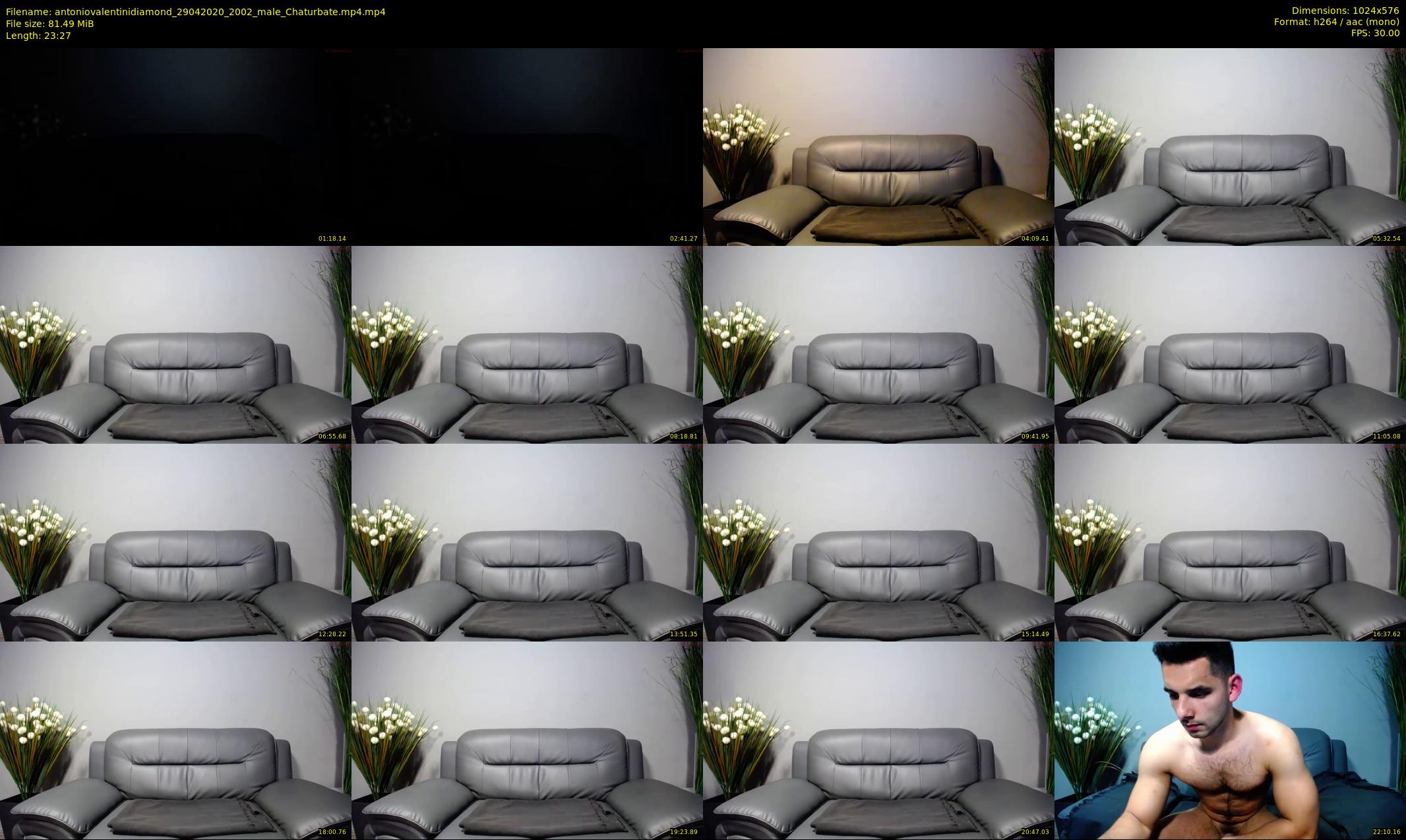 antoniovalentinidiamond — 24 minute Chaturbate male cam show recording, 480p, Apr 29, 2020