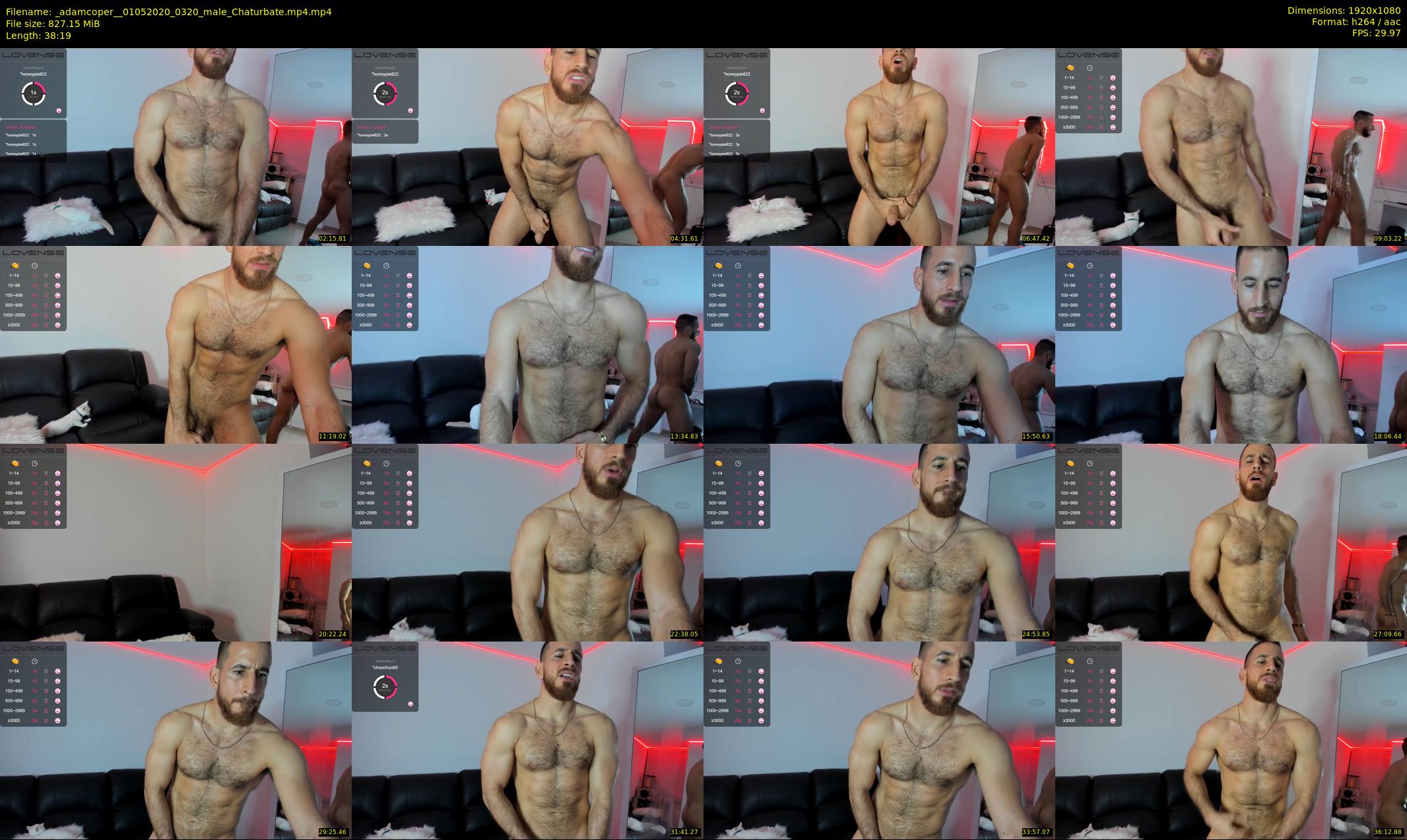 _adamcoper_ — 39 minute Chaturbate male cam show recording, 1080p, May 1, 2020