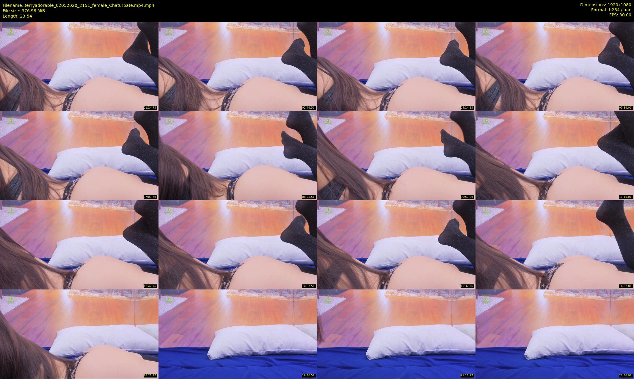 terryadorable — 24 minute Chaturbate female cam show recording, 1080p, May 2, 2020