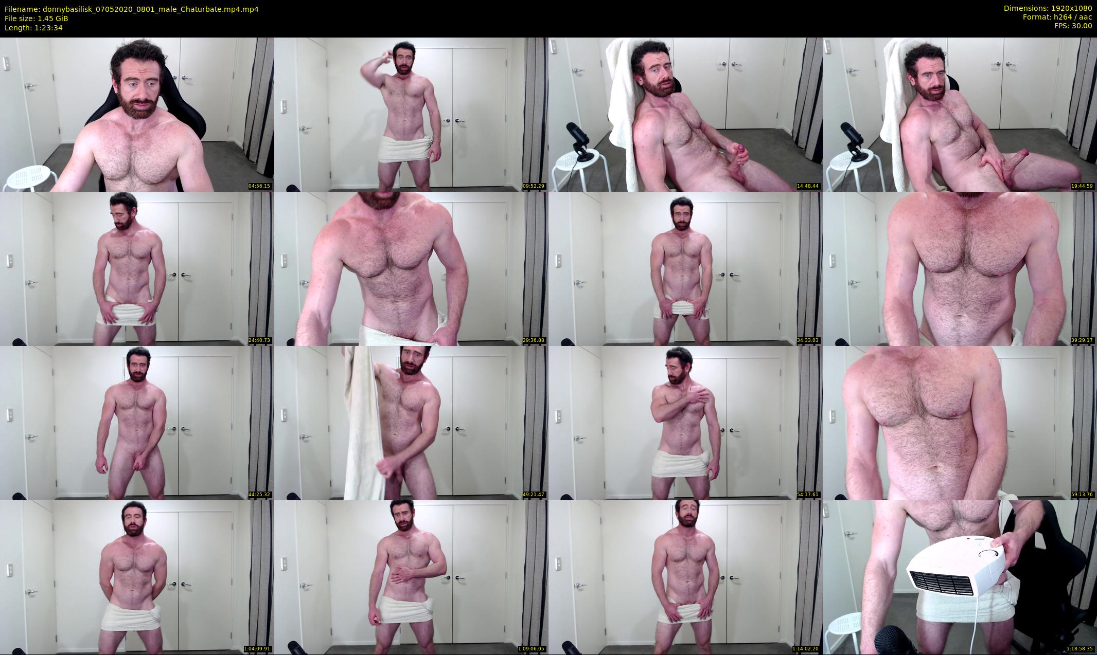 donnybasilisk — 84 minute Chaturbate male cam show recording, 1080p, May 7, 2020