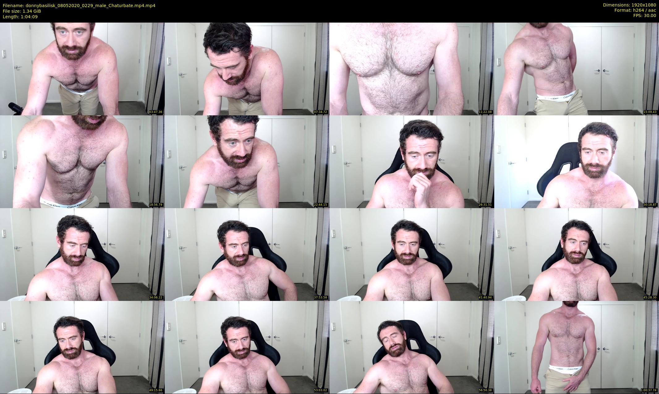 donnybasilisk — 65 minute Chaturbate male cam show recording, 1080p, May 8, 2020