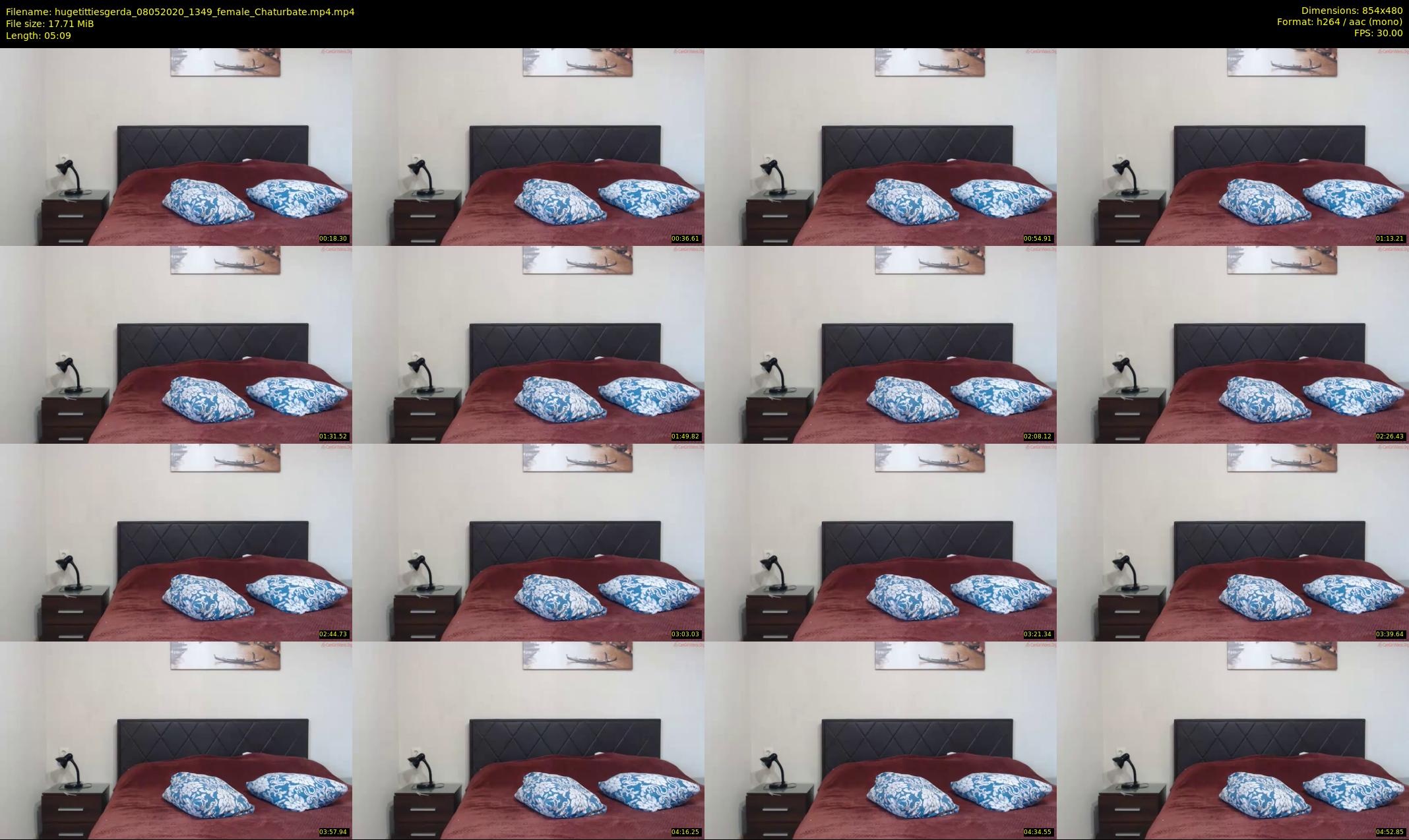 hugetittiesgerda — 6 minute Chaturbate female cam show recording, 480p, May 8, 2020