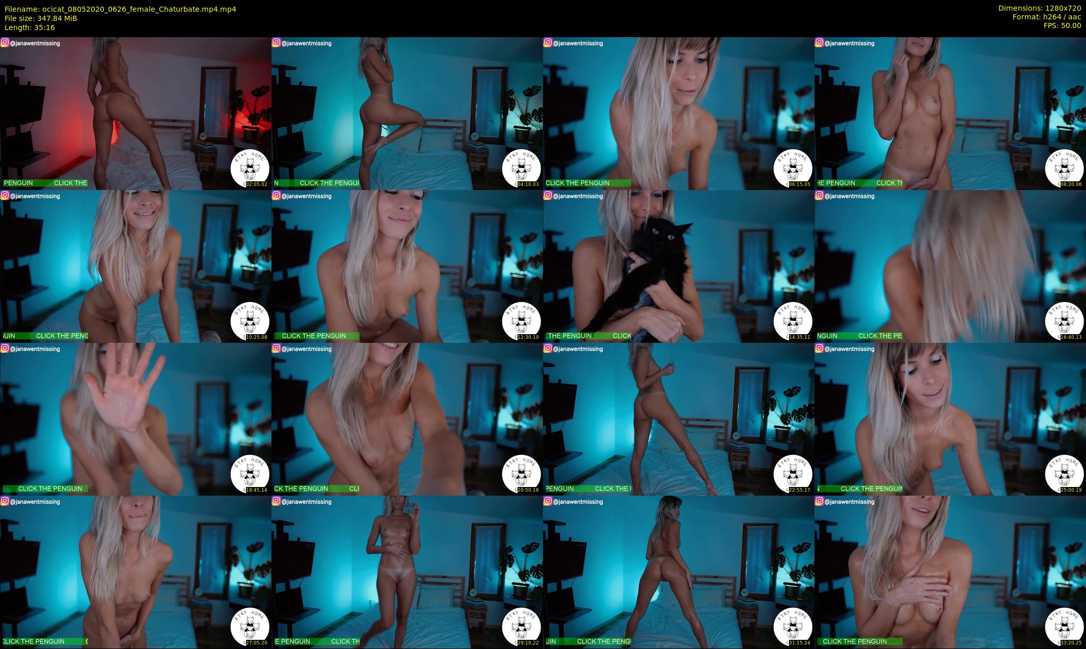ocicat — 36 minute Chaturbate female cam show recording, 720p, May 8, 2020