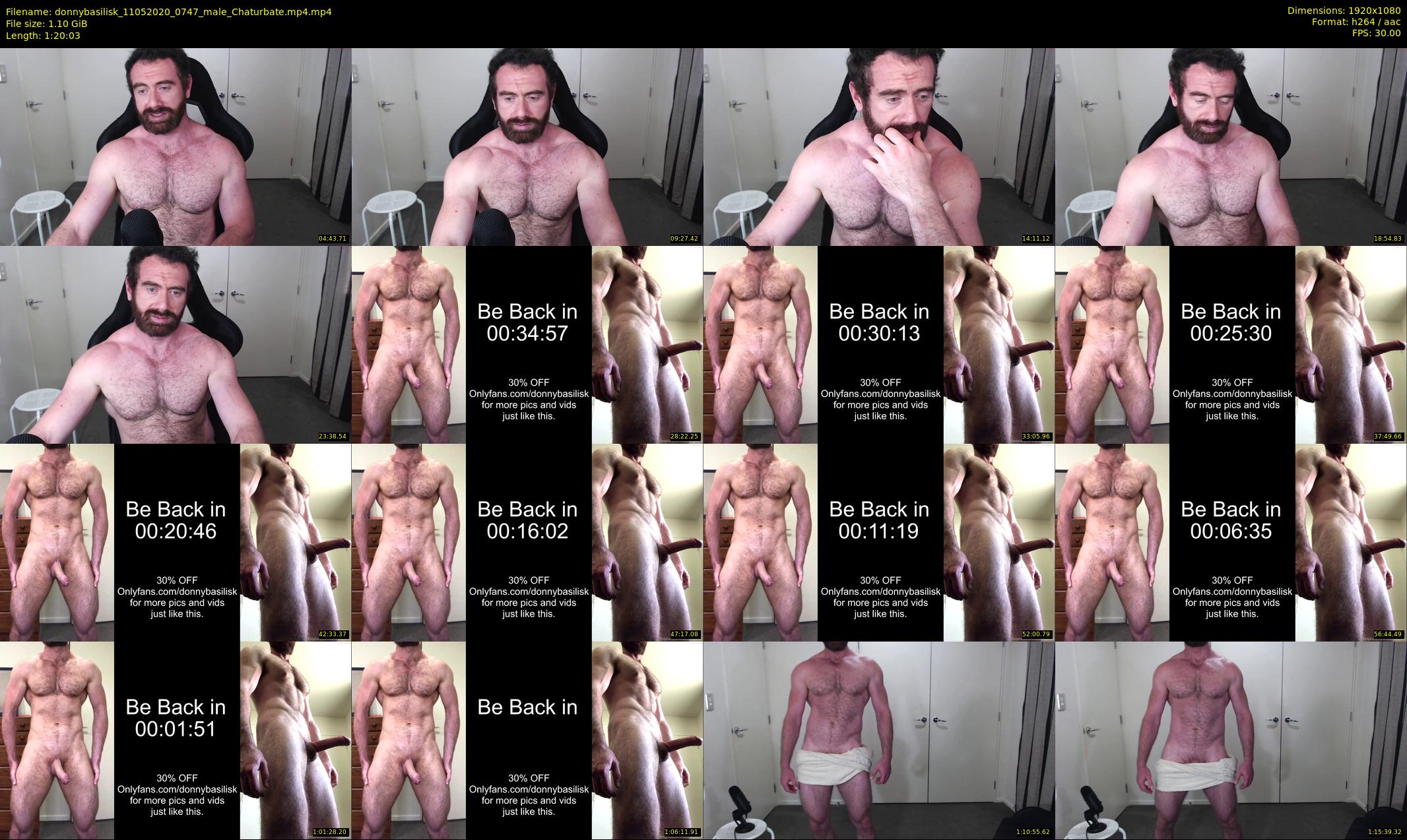 donnybasilisk — 81 minute Chaturbate male cam show recording, 1080p, May 11, 2020