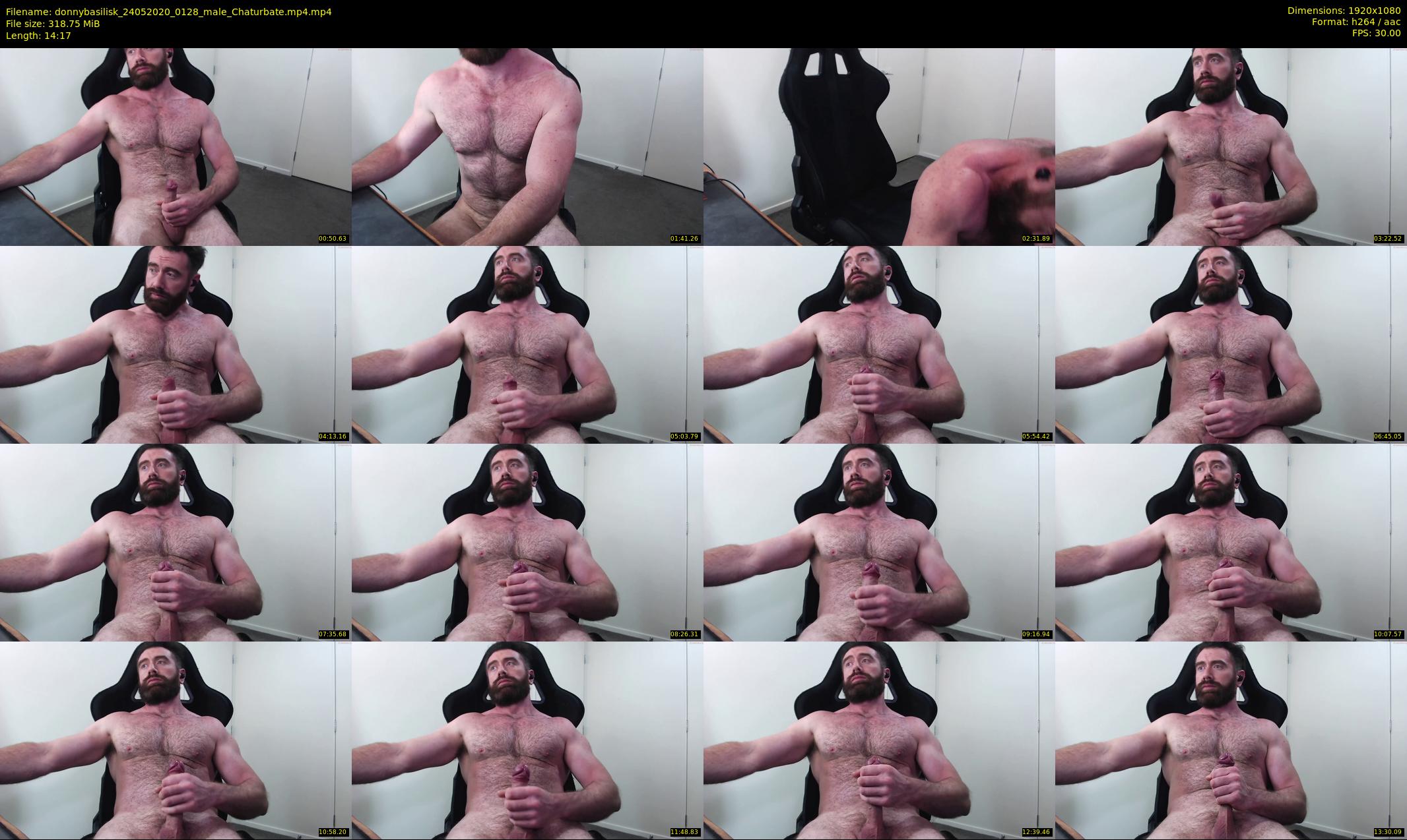 donnybasilisk — 15 minute Chaturbate male cam show recording, 1080p, May 24, 2020