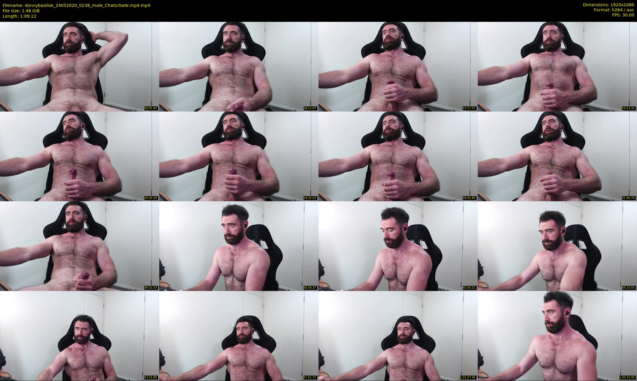 donnybasilisk — 70 minute Chaturbate male cam show recording, 1080p, May 24, 2020