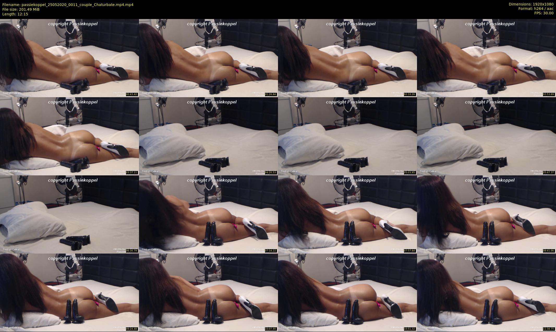 passiekoppel — 13 minute Chaturbate couple cam show recording, 1080p, May 25, 2020