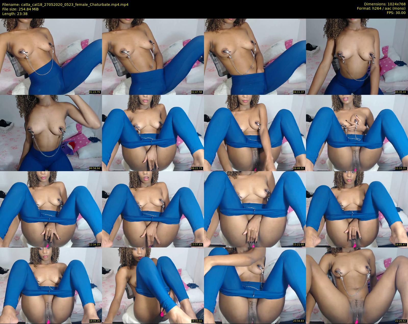 catta_cat18 — 24 minute Chaturbate female cam show recording, 720p, May 27, 2020