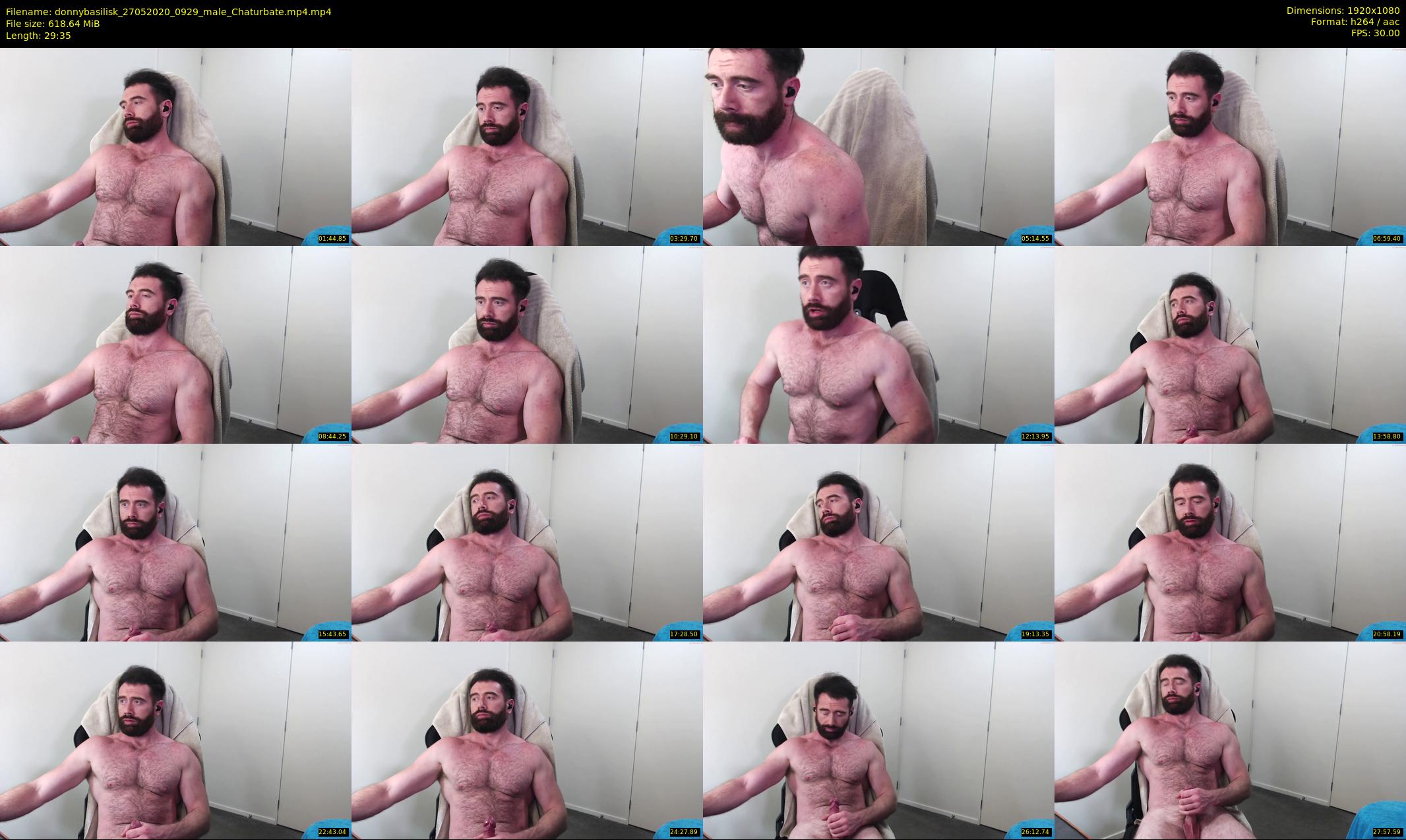donnybasilisk — 30 minute Chaturbate male cam show recording, 1080p, May 27, 2020