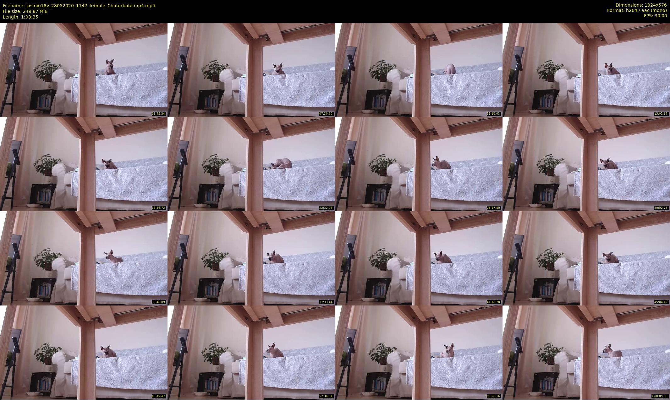 jasmin18v — 64 minute Chaturbate female cam show recording, 480p, May 28, 2020
