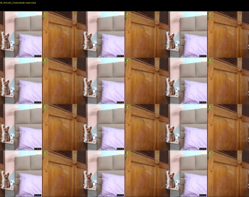 mollyguns — 53 minute Chaturbate female cam show recording, 720p, May 29, 2020