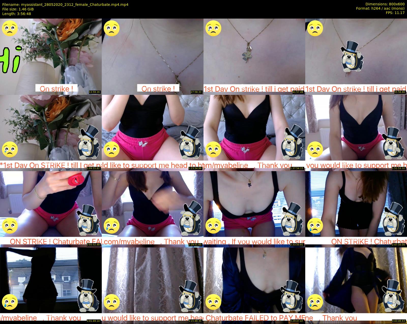 myassistant — 237 minute Chaturbate female cam show recording, 480p, May 28, 2020