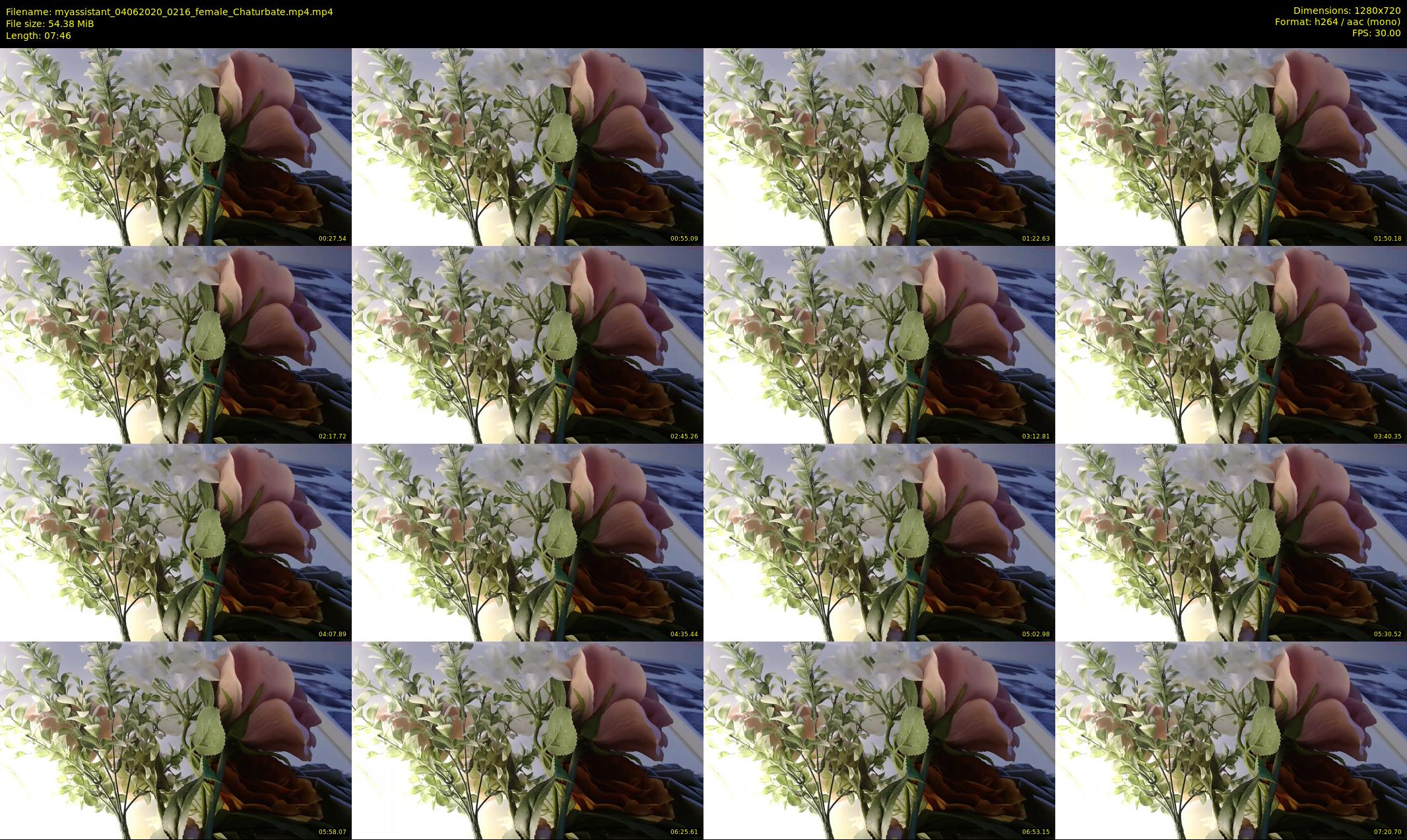 myassistant — 8 minute Chaturbate female cam show recording, 720p, Jun 4, 2020