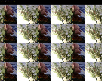 myassistant — 8 minute Chaturbate female cam show recording, 720p, Jun 4, 2020