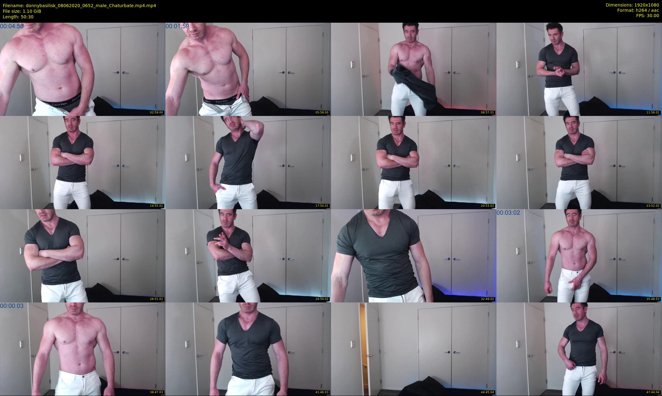donnybasilisk — 51 minute Chaturbate male cam show recording, 1080p, Jun 8, 2020