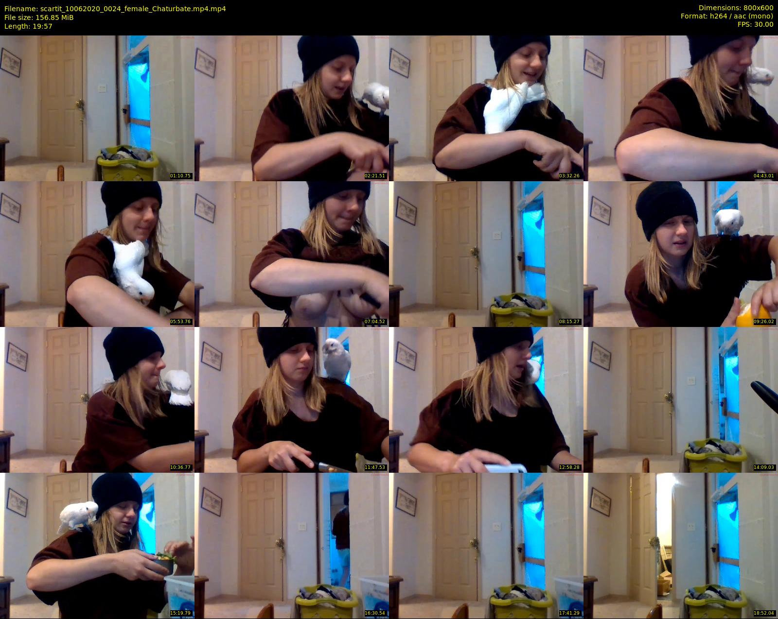scartit — 20 minute Chaturbate female cam show recording, 480p, Jun 10, 2020