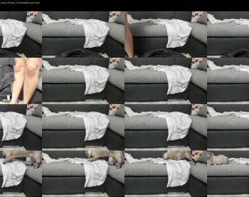 _luckycharms — 8 minute Chaturbate female cam show recording, 720p, Jun 26, 2020