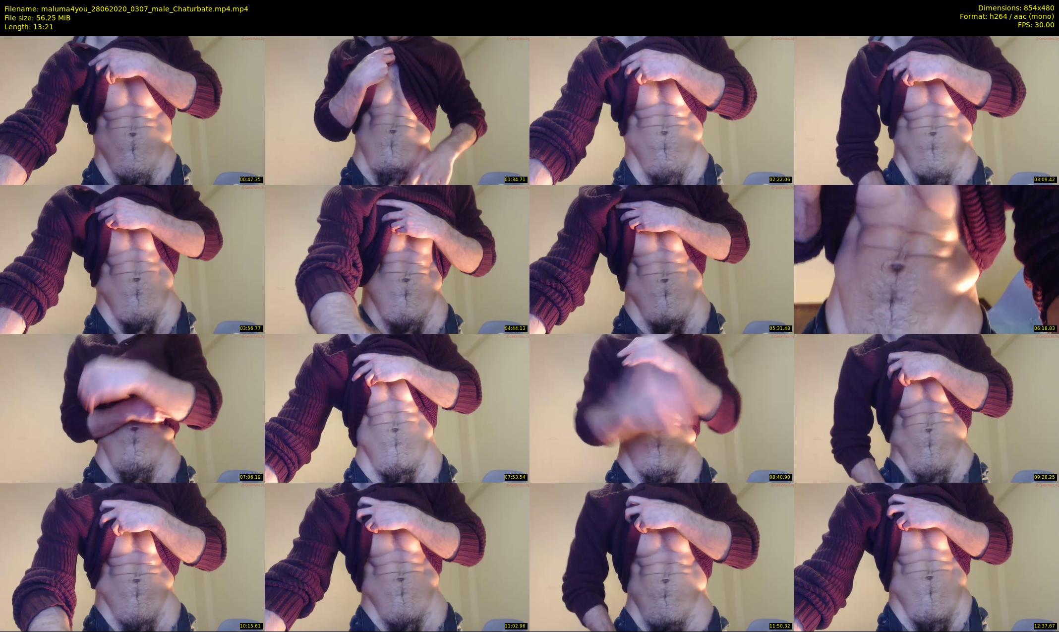 maluma4you — 14 minute Chaturbate male cam show recording, 480p, Jun 28, 2020