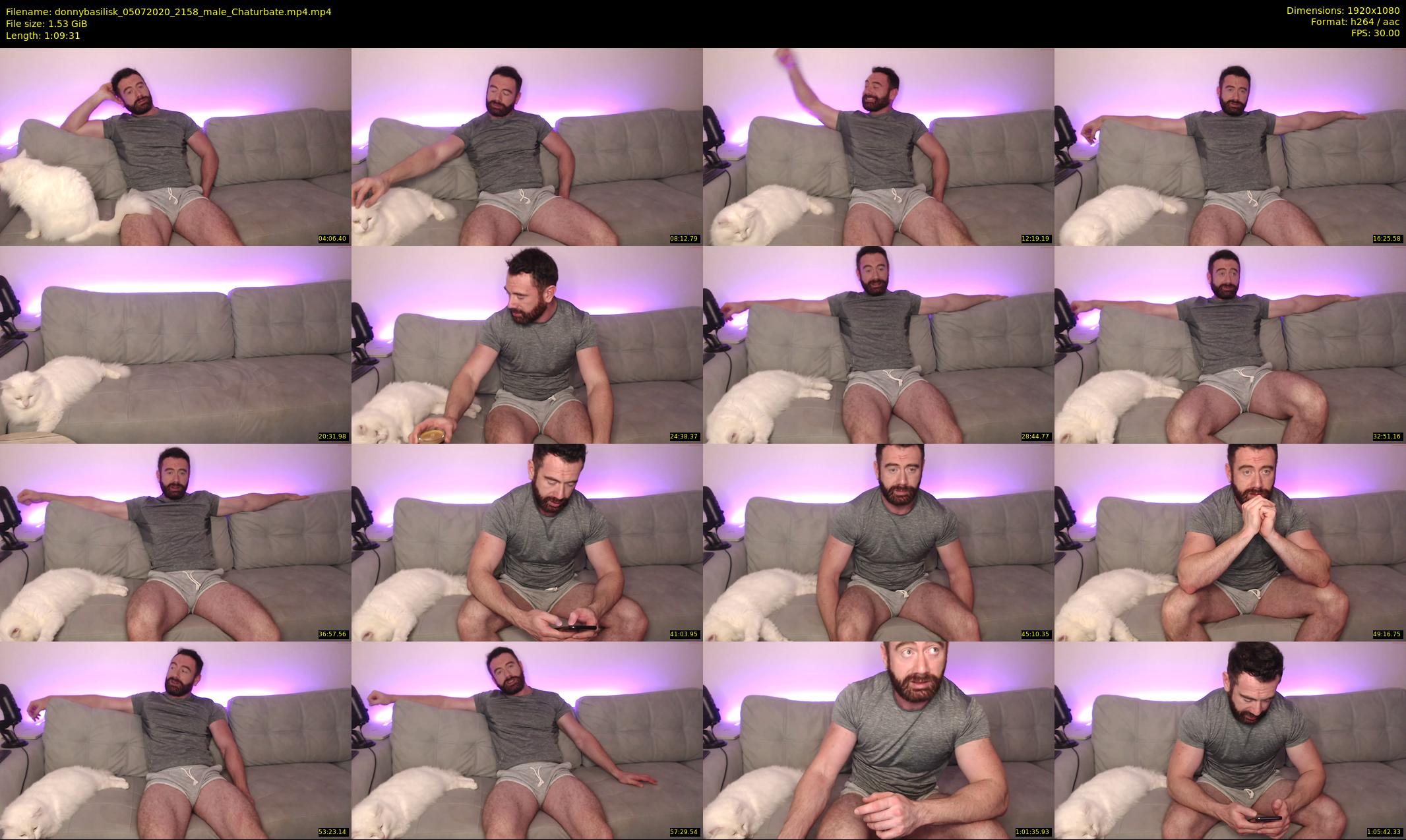 donnybasilisk — 70 minute Chaturbate male cam show recording, 1080p, Jul 5, 2020