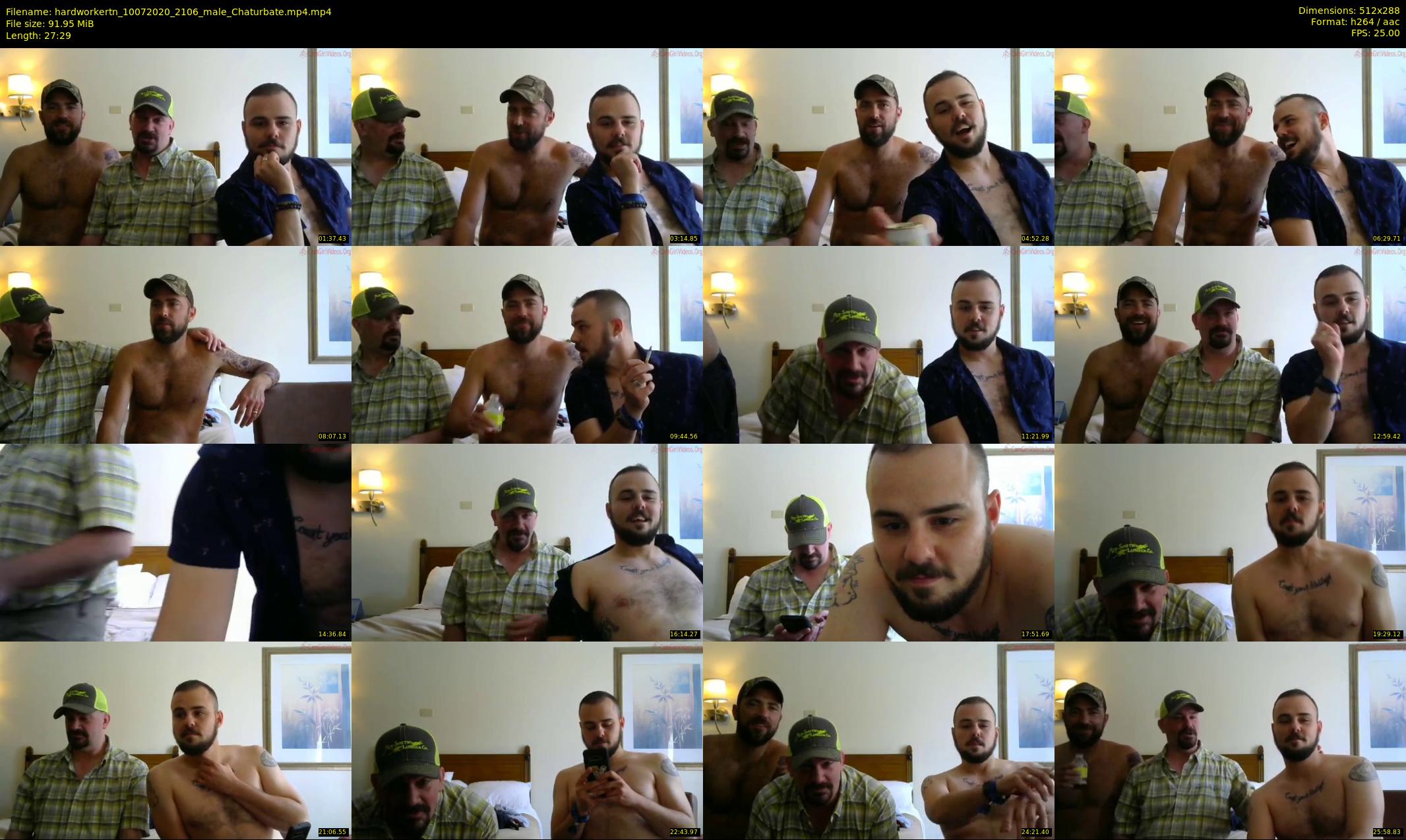 hardworkertn — 28 minute Chaturbate male cam show recording, SD, Jul 10, 2020