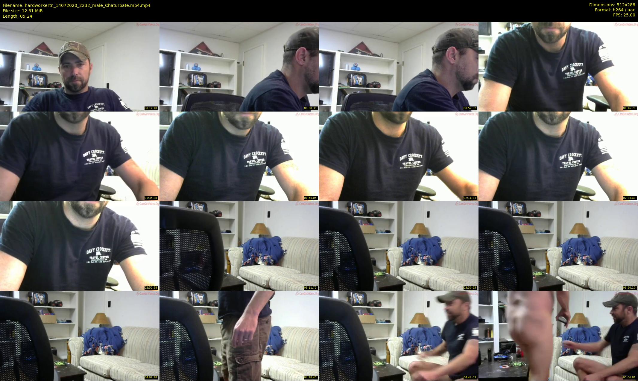 hardworkertn — 6 minute Chaturbate male cam show recording, SD, Jul 14, 2020