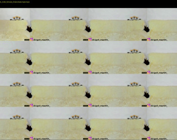 abogailmaartin — 45 minute Chaturbate female cam show recording, 1080p, Jul 21, 2020