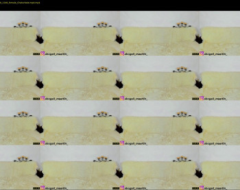 abogailmaartin — 39 minute Chaturbate female cam show recording, 1080p, Jul 21, 2020