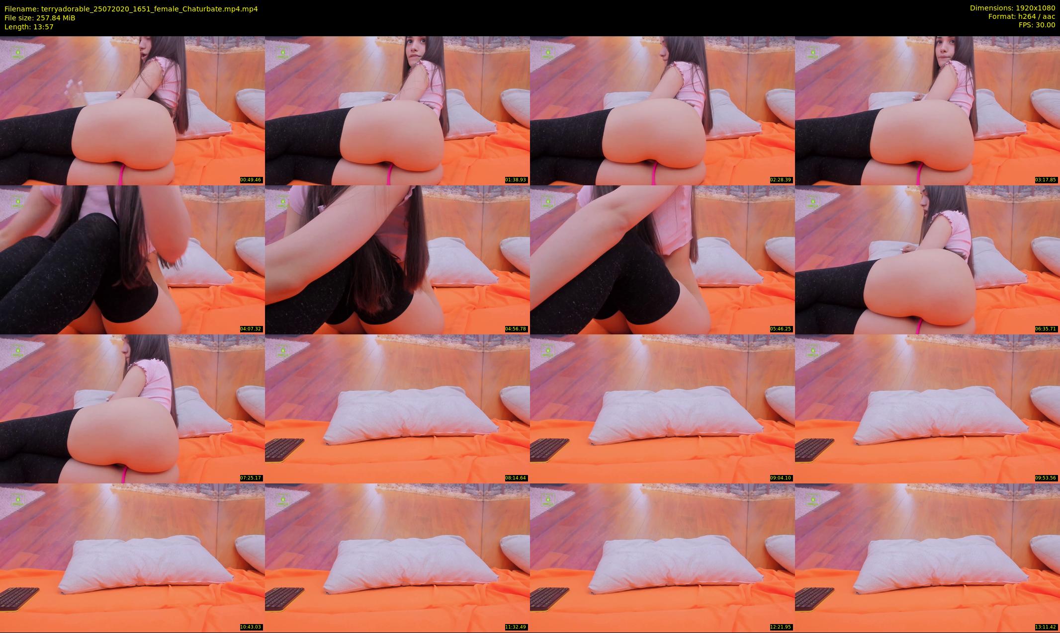 terryadorable — 14 minute Chaturbate female cam show recording, 1080p, Jul 25, 2020