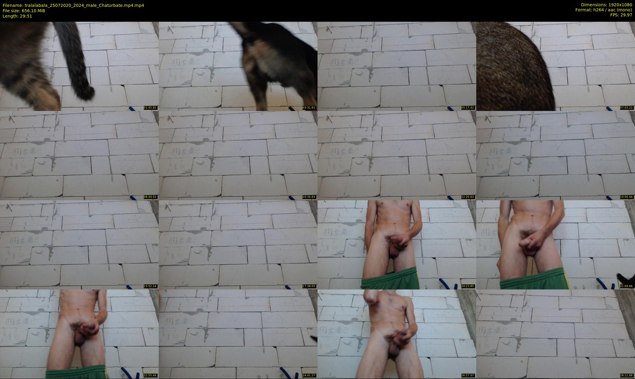 tralalabala — 30 minute Chaturbate male cam show recording, 1080p, Jul 25, 2020