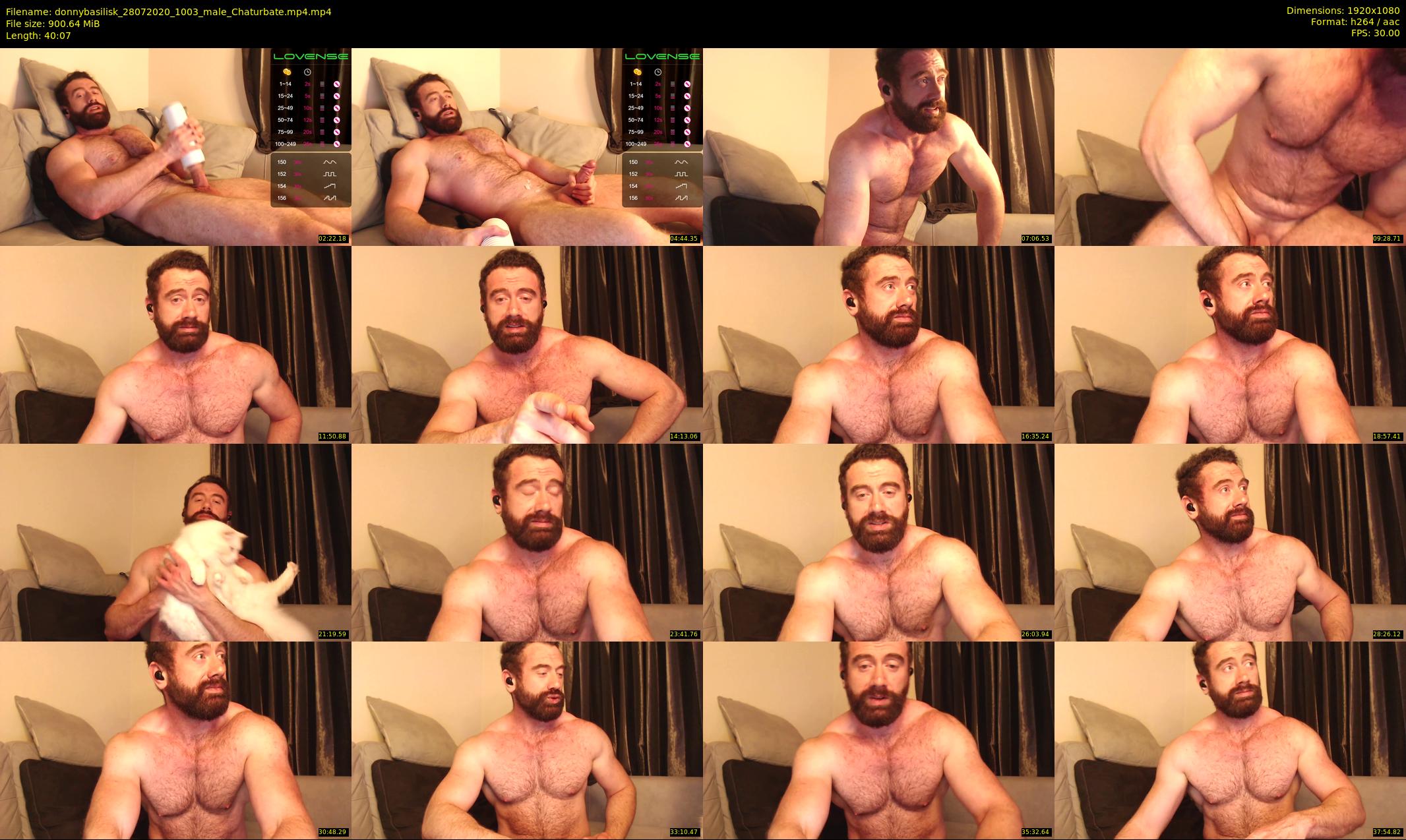 donnybasilisk — 41 minute Chaturbate male cam show recording, 1080p, Jul 28, 2020