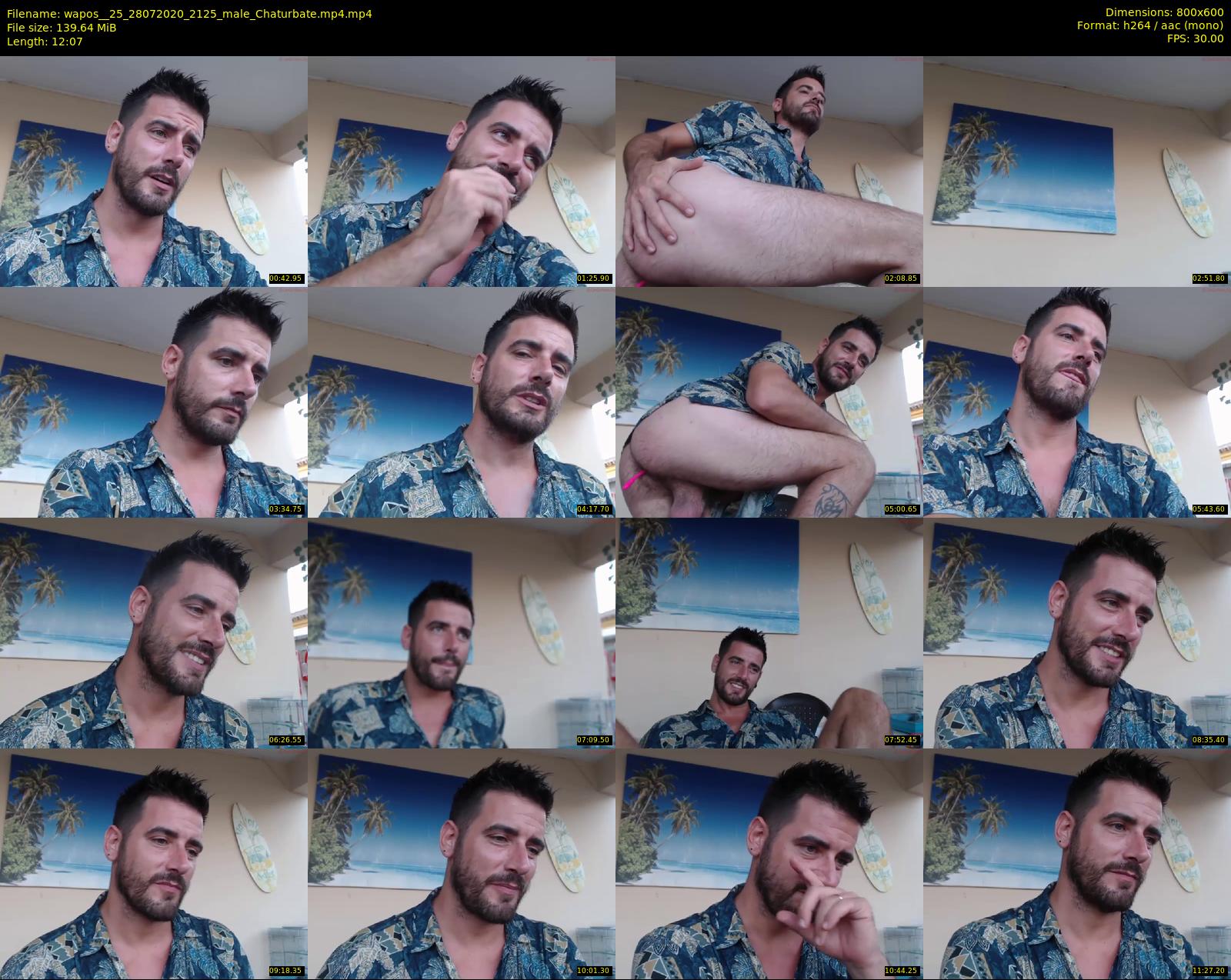 wapos__25 — 13 minute Chaturbate male cam show recording, 480p, Jul 28, 2020