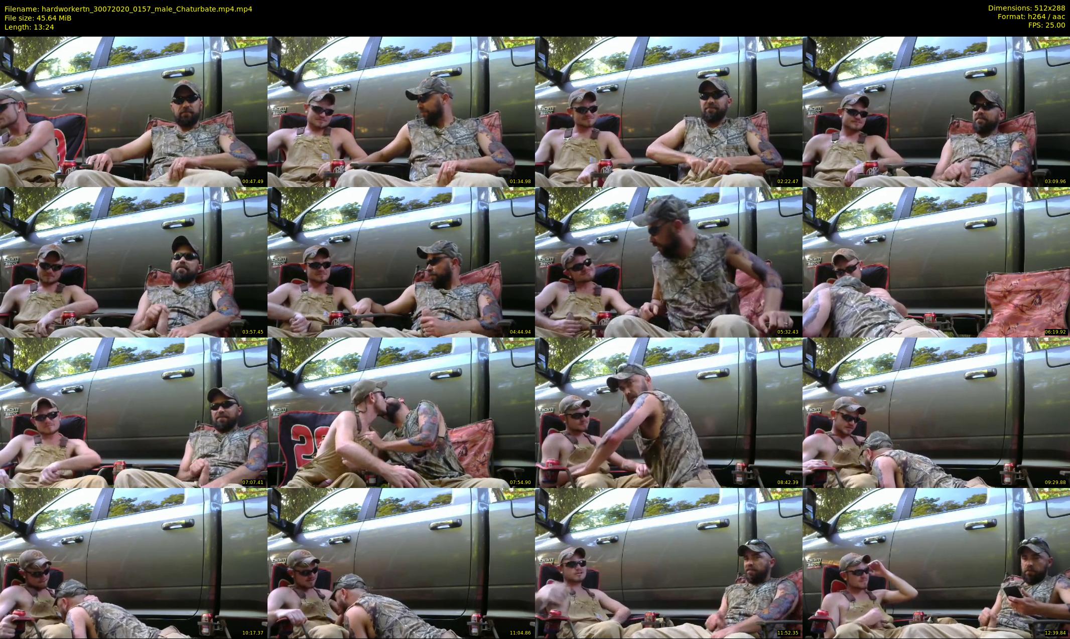 hardworkertn — 14 minute Chaturbate male cam show recording, SD, Jul 30, 2020