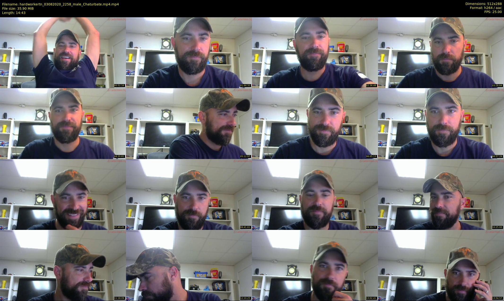hardworkertn — 15 minute Chaturbate male cam show recording, SD, Aug 3, 2020