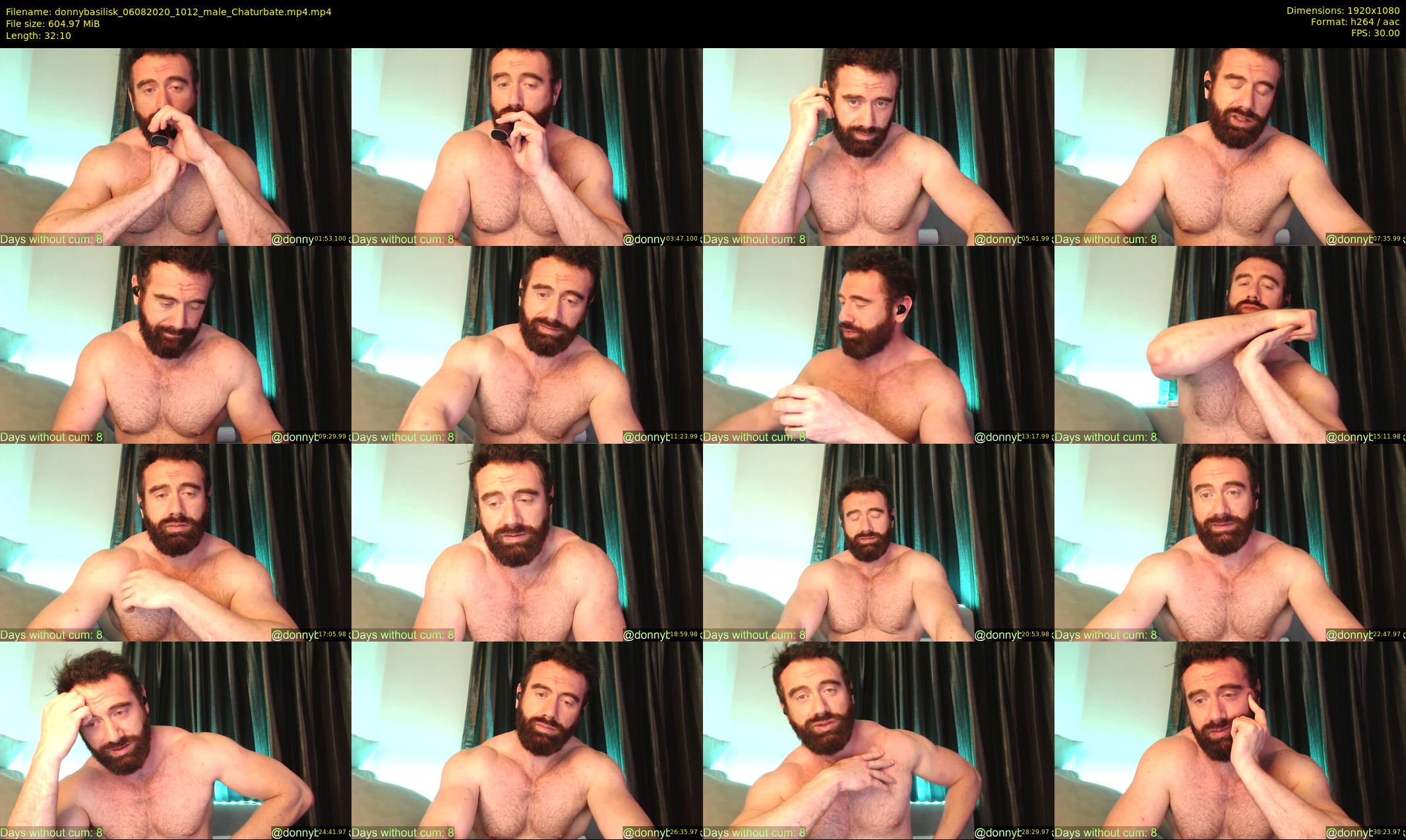 donnybasilisk — 33 minute Chaturbate male cam show recording, 1080p, Aug 6, 2020