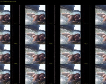 leediseeeex — 12 minute Chaturbate female cam show recording, 1080p, Aug 6, 2020