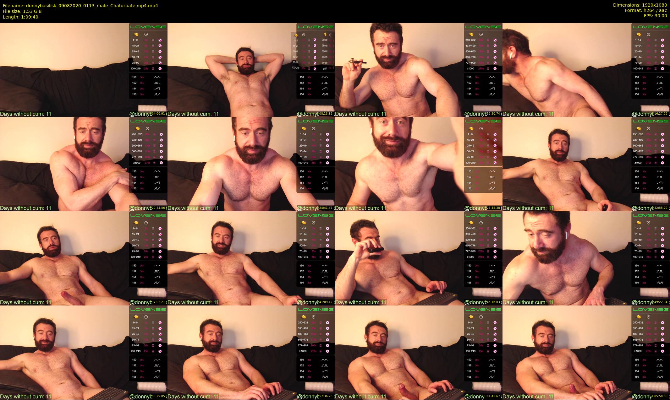 donnybasilisk — 70 minute Chaturbate male cam show recording, 1080p, Aug 9, 2020