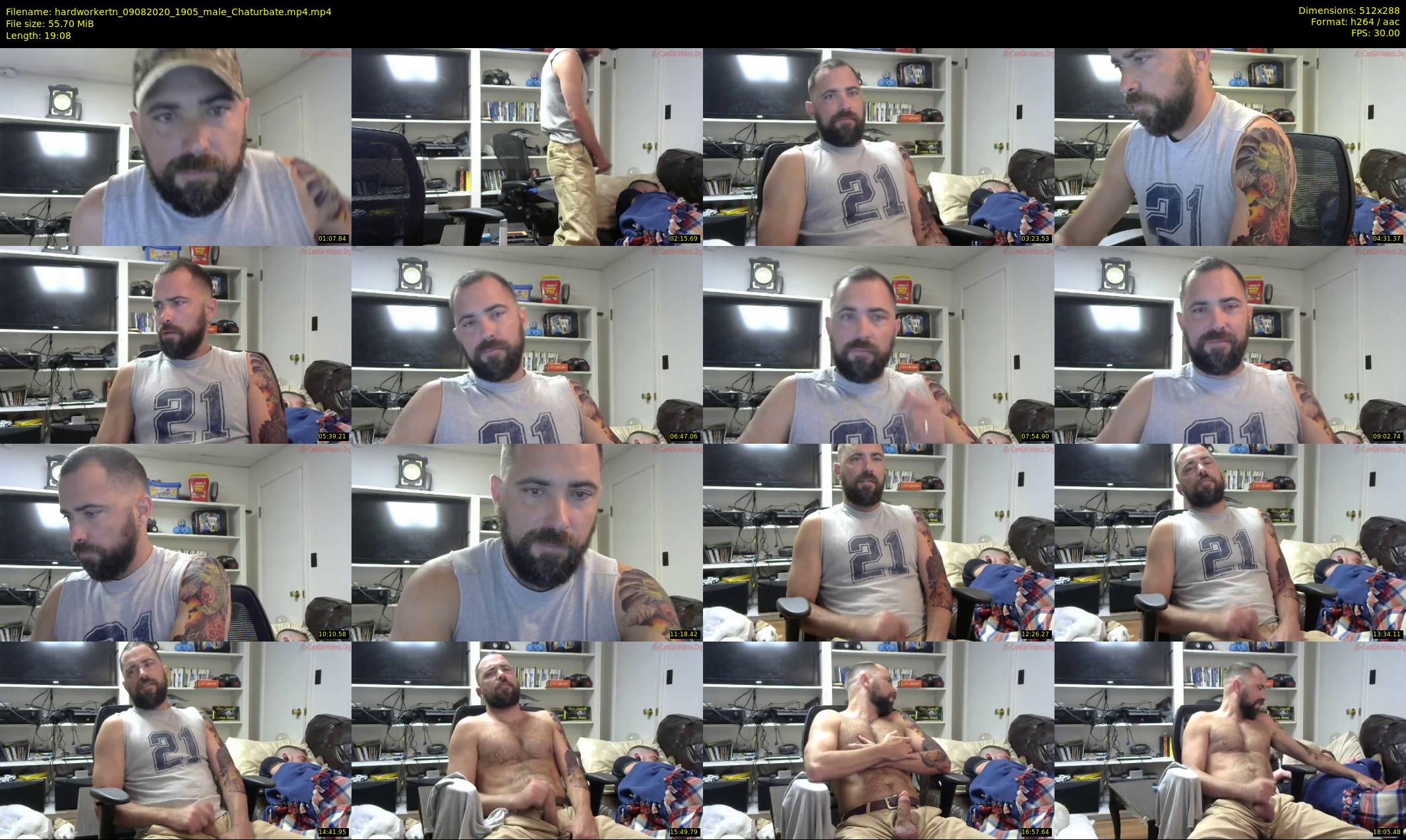 hardworkertn — 20 minute Chaturbate male cam show recording, SD, Aug 9, 2020