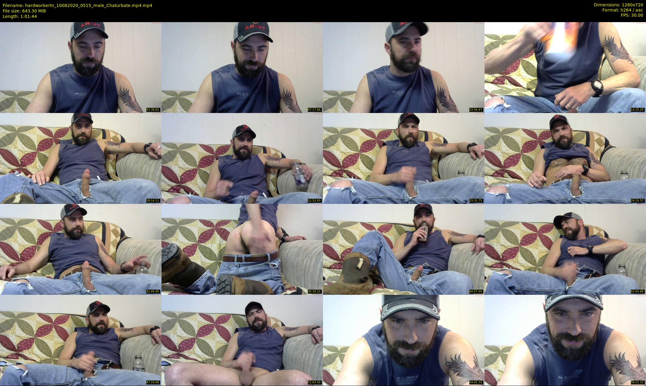 hardworkertn — 62 minute Chaturbate male cam show recording, 720p, Aug 10, 2020