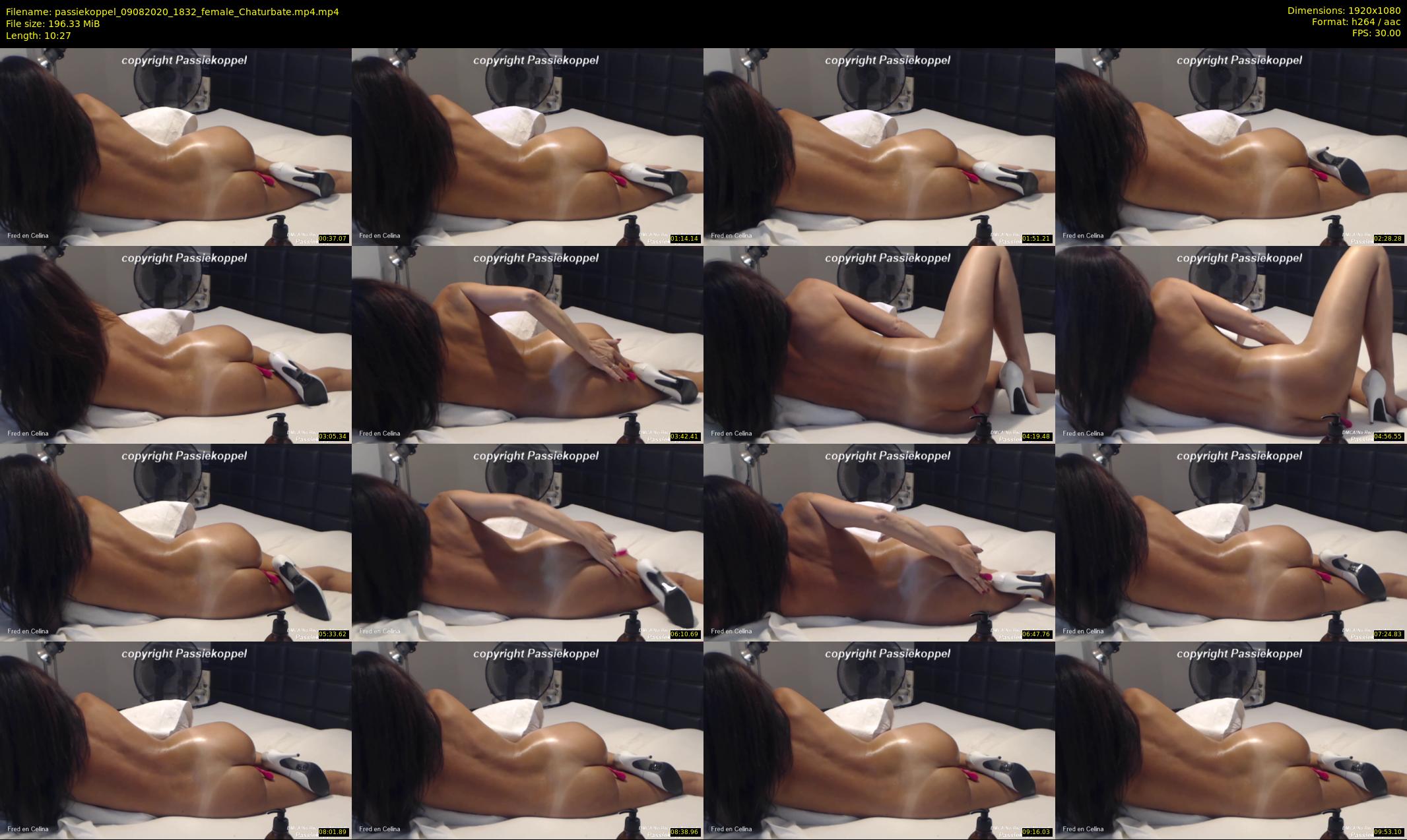 passiekoppel — 11 minute Chaturbate couple cam show recording, 1080p, Aug 9, 2020