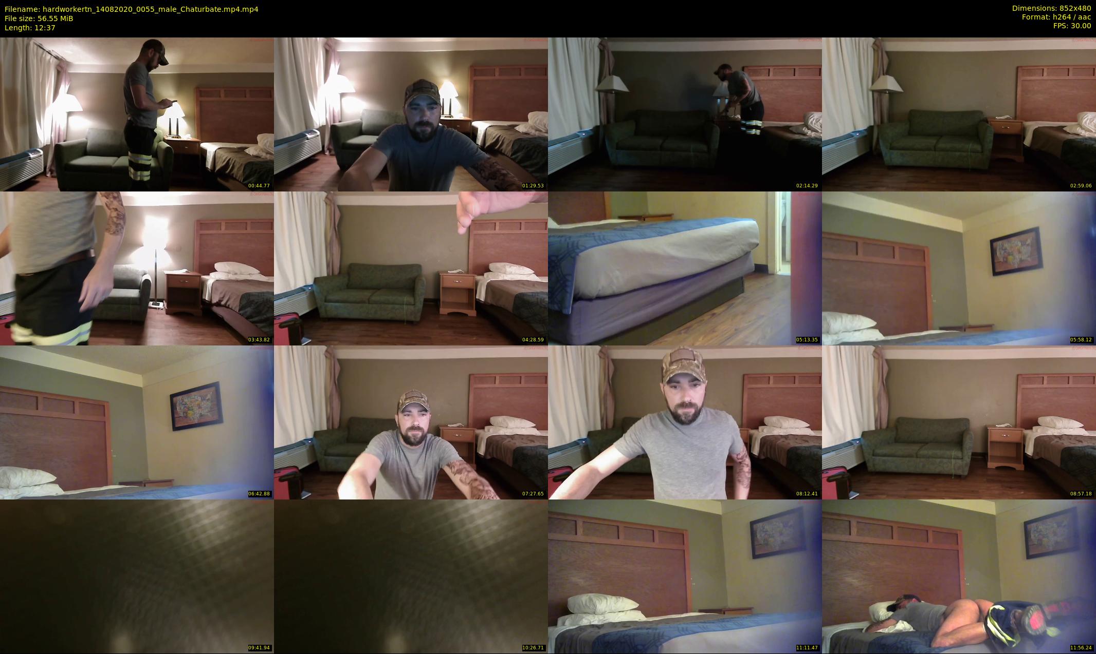 hardworkertn — 13 minute Chaturbate male cam show recording, 480p, Aug 14, 2020