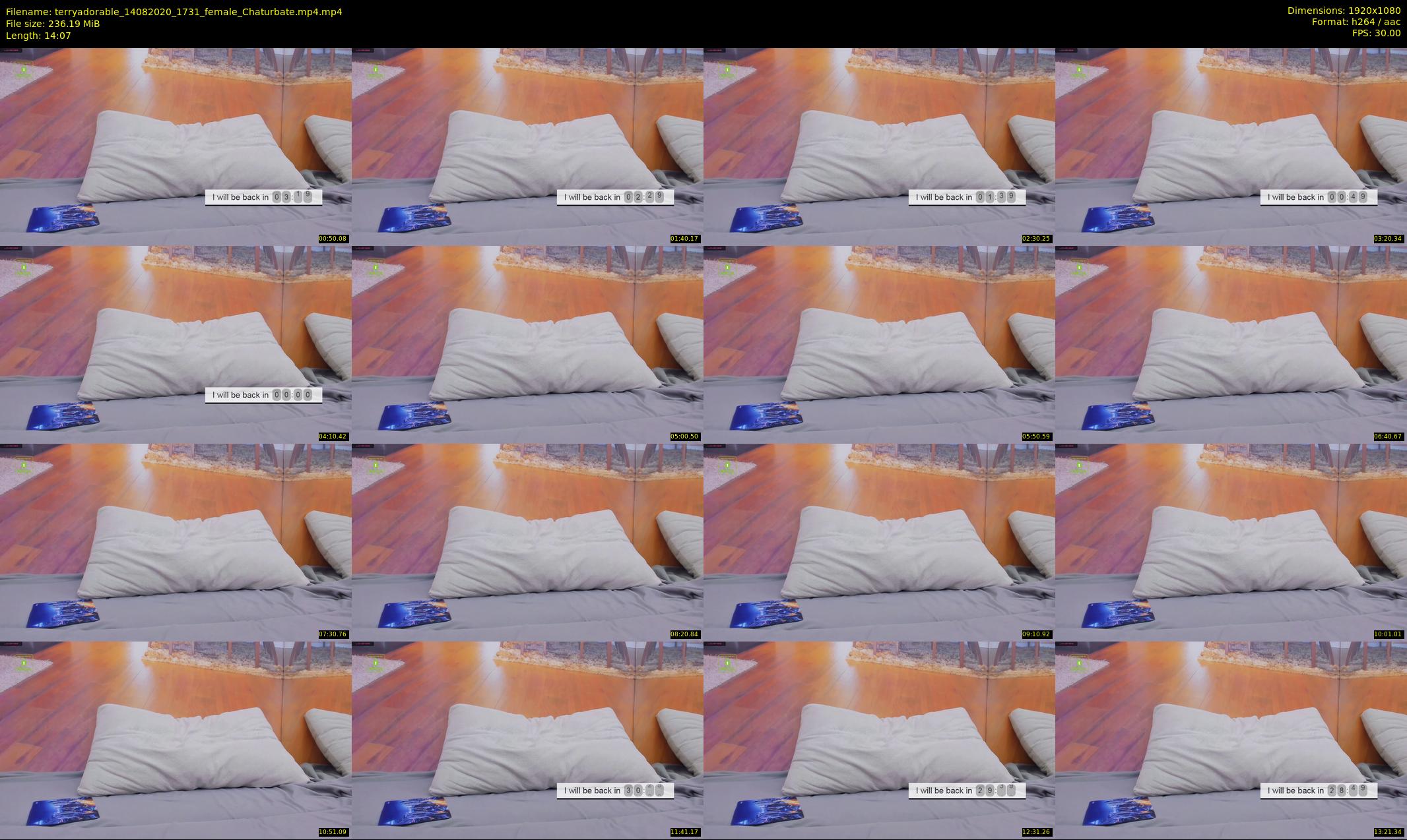 terryadorable — 15 minute Chaturbate female cam show recording, 1080p, Aug 14, 2020