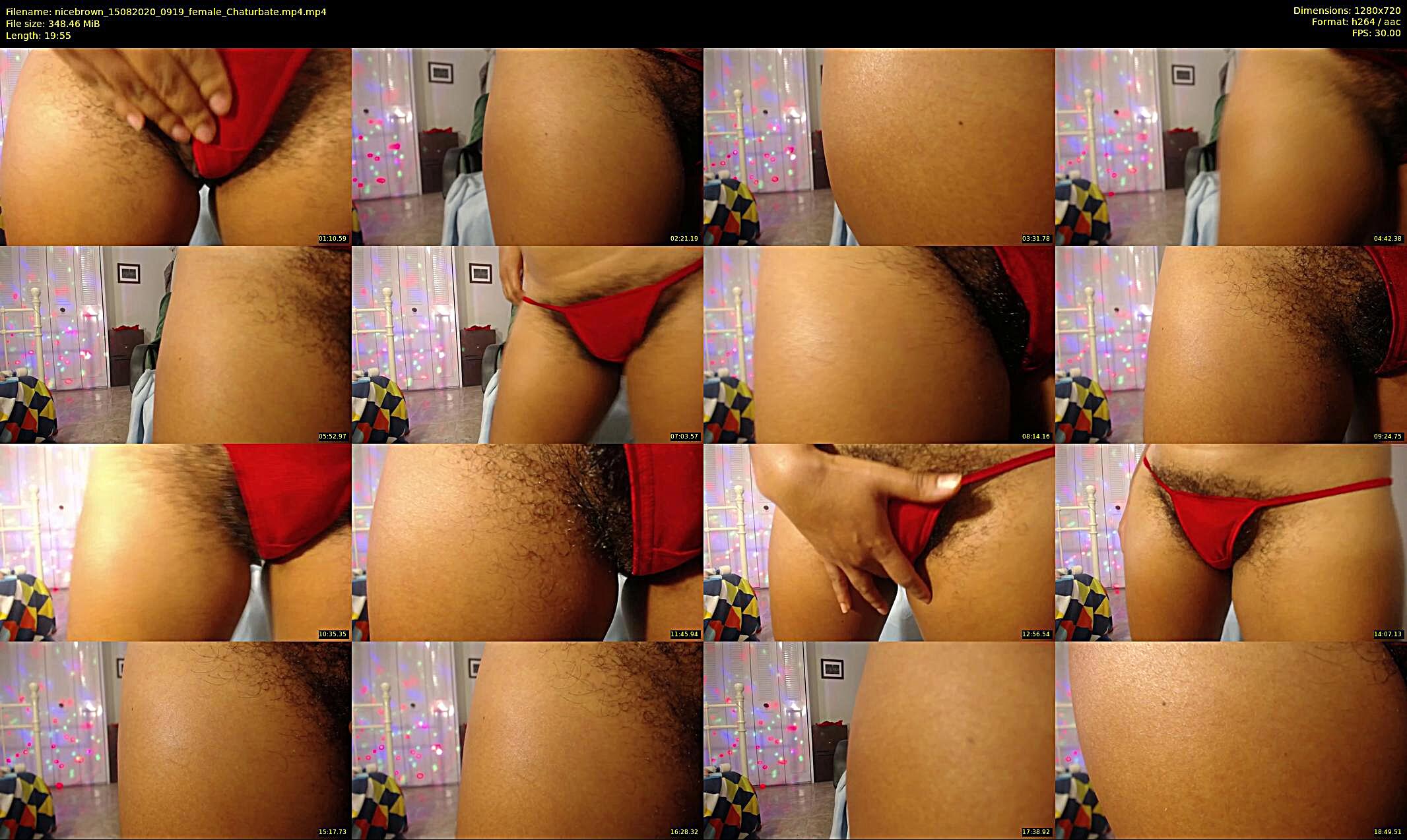 nicebrown — 20 minute Chaturbate female cam show recording, 720p, Aug 15, 2020