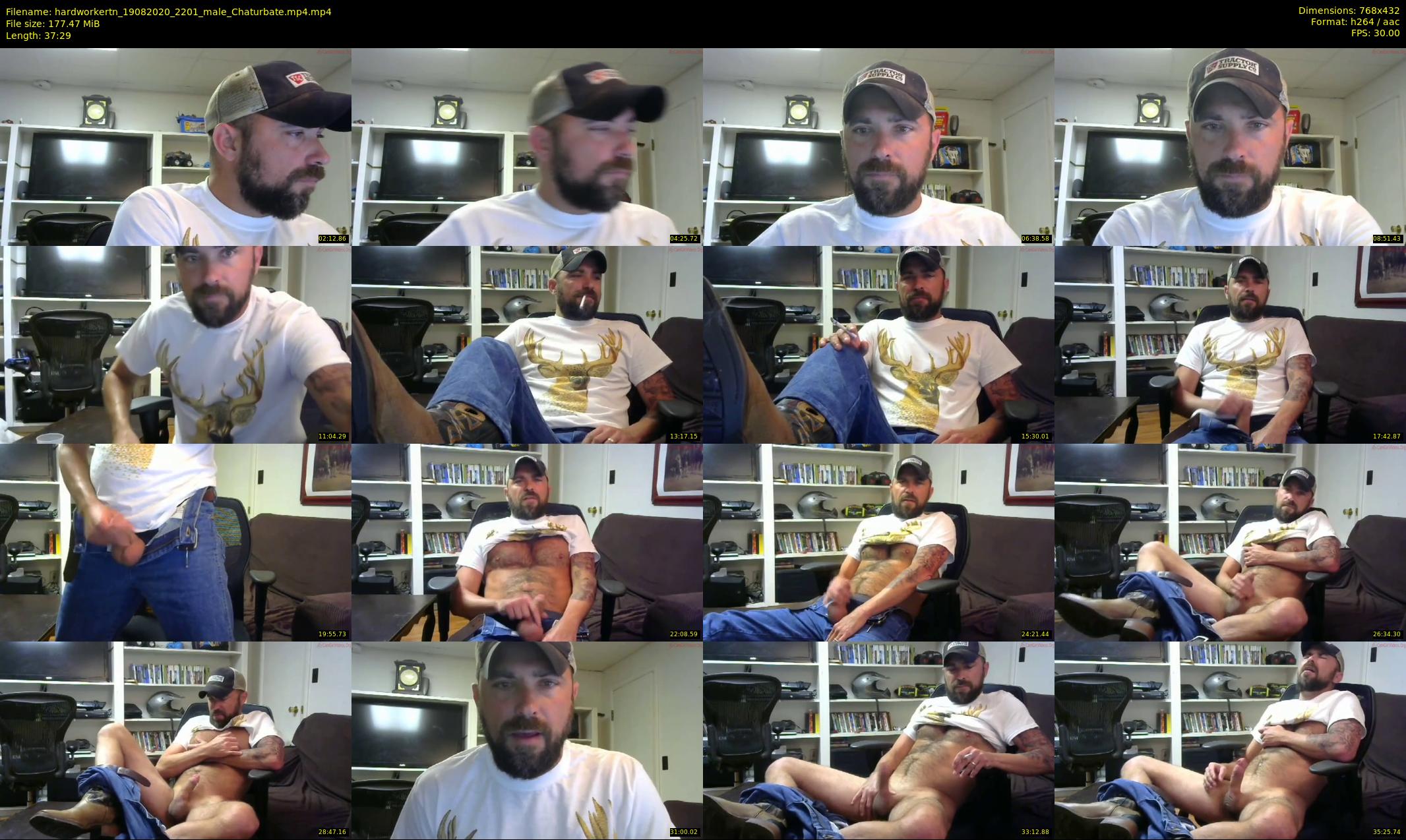hardworkertn — 38 minute Chaturbate male cam show recording, 360p, Aug 19, 2020