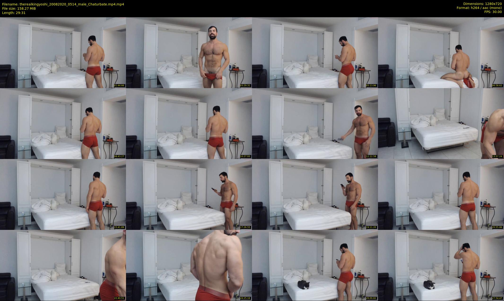 therealkingyoshi — 30 minute Chaturbate male cam show recording, 720p, Aug 20, 2020