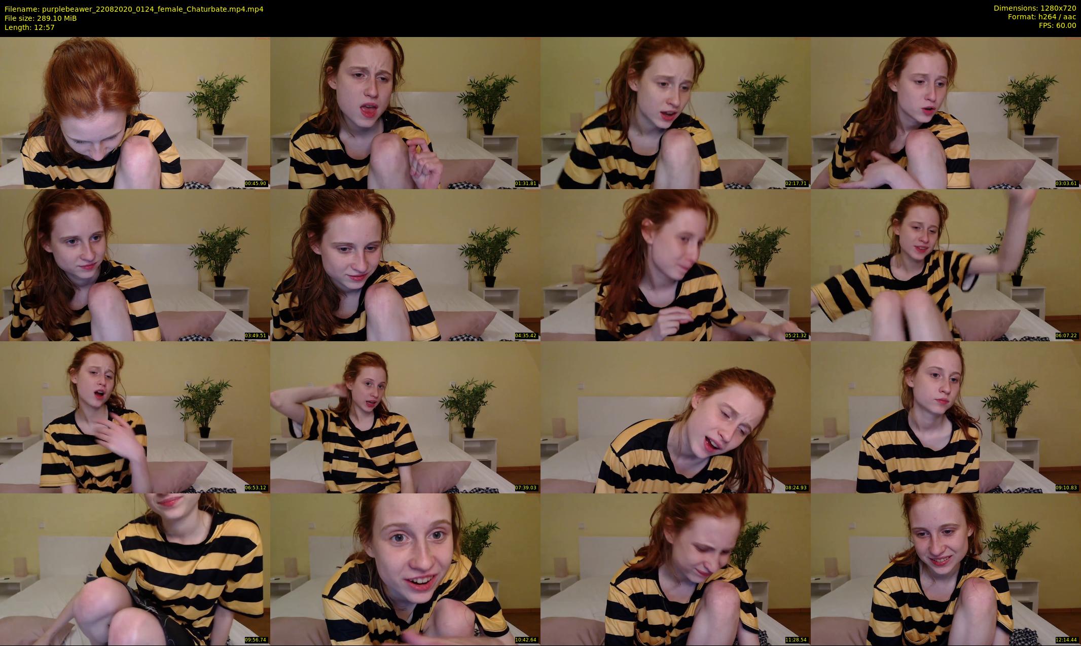 purplebeawer — 13 minute Chaturbate female cam show recording, 720p, Aug 22, 2020