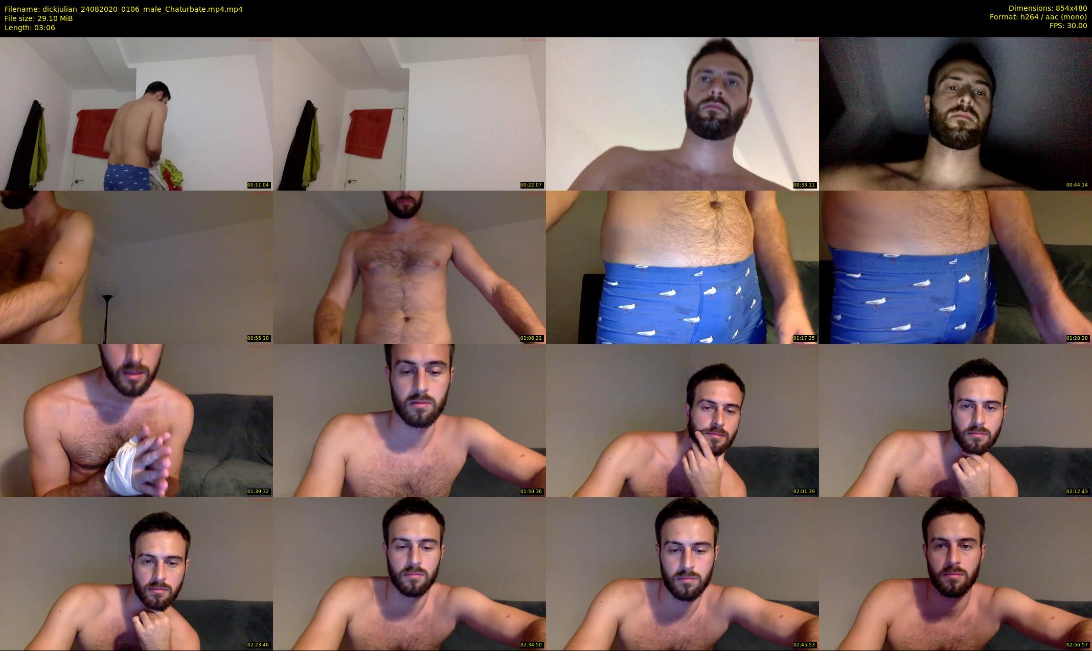 dickjulian — 4 minute Chaturbate male cam show recording, 480p, Aug 24, 2020