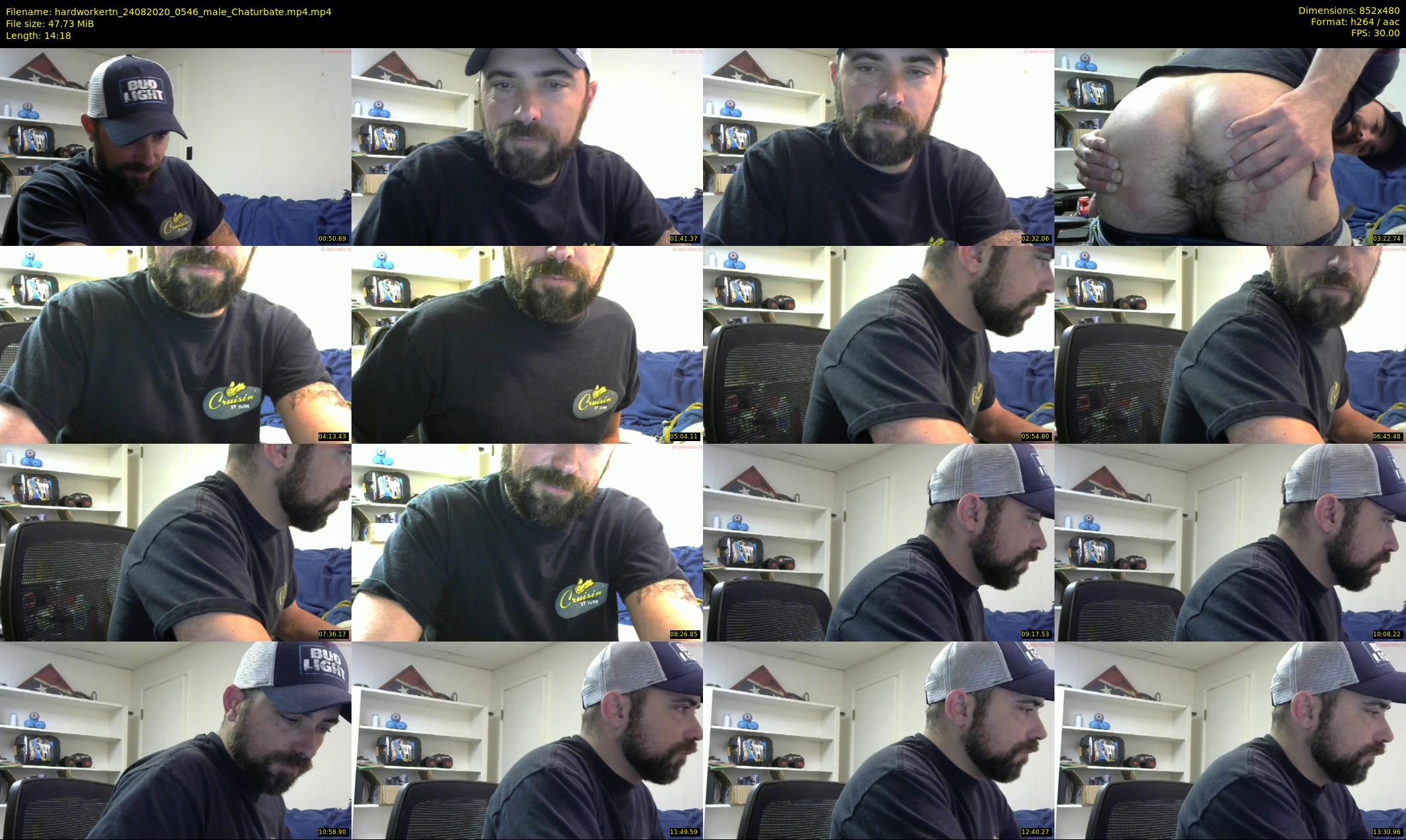 hardworkertn — 15 minute Chaturbate male cam show recording, 480p, Aug 24, 2020