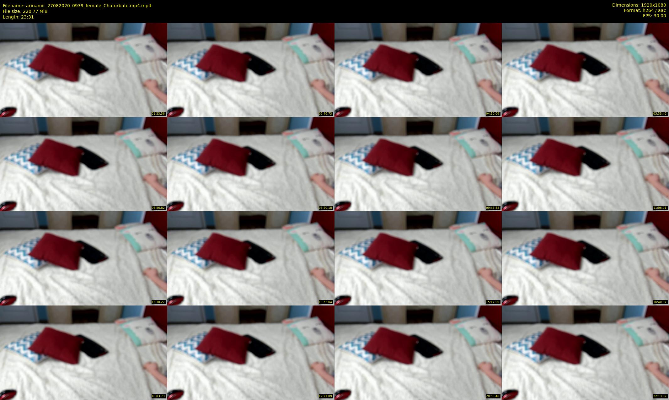 arinamir — 24 minute Chaturbate female cam show recording, 1080p, Aug 27, 2020